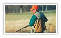 Western Kentucky Land Between The Lakes Hunting